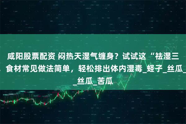 咸阳股票配资 闷热天湿气缠身？试试这 “祛湿三宝”，食材常见做法简单，轻松排出体内湿毒_蛏子_丝瓜_苦瓜