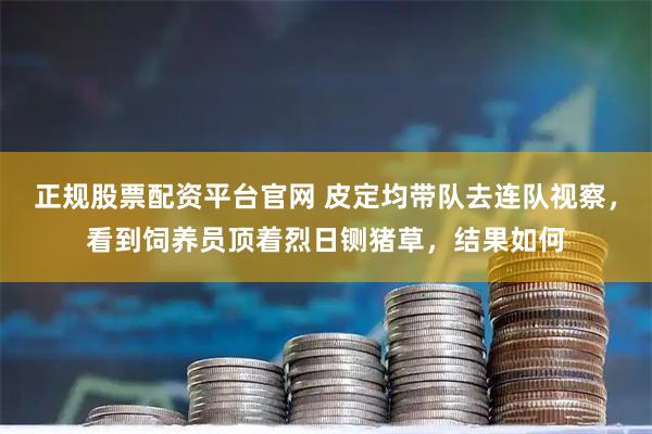 正规股票配资平台官网 皮定均带队去连队视察，看到饲养员顶着烈日铡猪草，结果如何