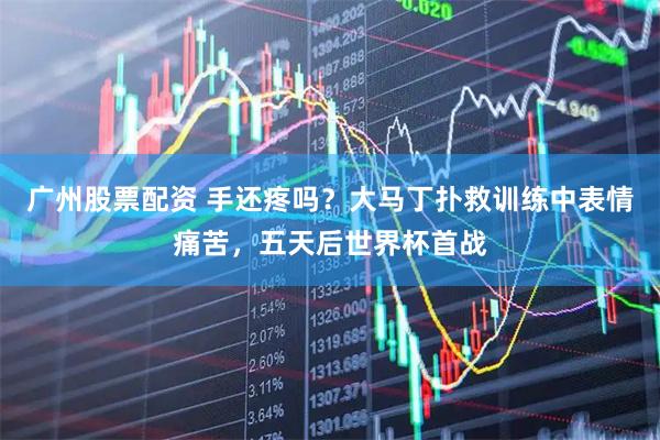 广州股票配资 手还疼吗？大马丁扑救训练中表情痛苦，五天后世界杯首战