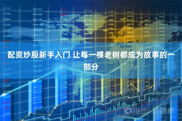 配资炒股新手入门 让每一棵老树都成为故事的一部分